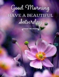 Beautiful Good Morning Saturday Quotes Images