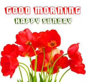 Beautiful Sunday Good Morning Images in Hindi