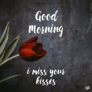 Good Morning Friend I Miss You Images