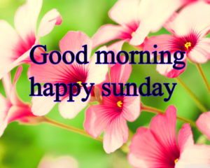 Good Morning Happy Sunday Images Free Download