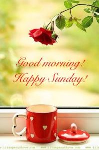 Good Morning Happy Sunday Images HD Free Download
