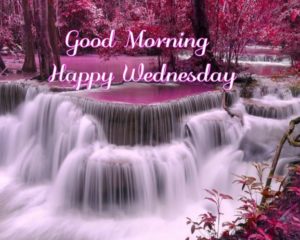 Good Morning Images Wednesday Special