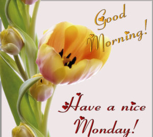 Good Morning Monday Images HD Free Download