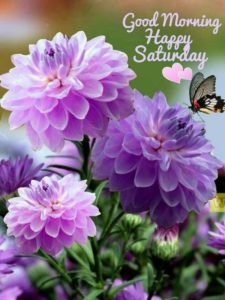 Good Morning Saturday Flowers Images and Messages