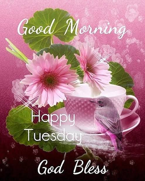 ᐅ121+ Good Morning Tuesday Images for Whatsapp Free Download