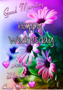 Good Morning Wednesday HD Images for Whatsapp