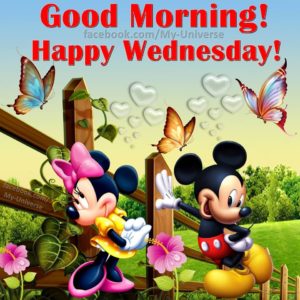 Good Morning Wednesday Pictures
