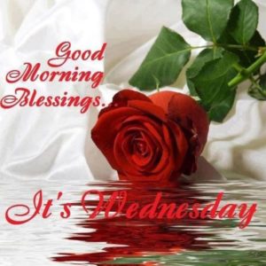 Good Morning Wishes on Wednesday