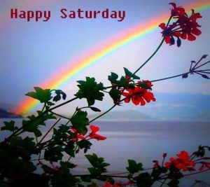 Happy Saturday Rainbow And Flowers Good Morning Images