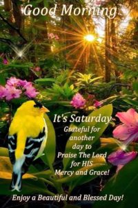 Saturday Blessings Good Morning Images