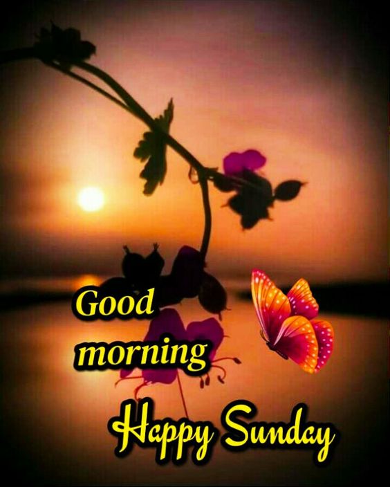 Good Morning Happy Sunday Images Pictures Pics Wallpaper For Free Download Good Morning
