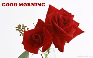 Awesome Good Morning Image with Red Rose