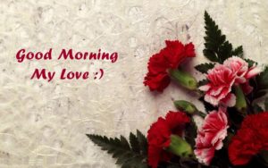 Beautiful Good Morning Love Images with Red Rose Flowers