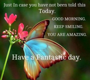 Butterfly Quotes Good Morning Photos Pic