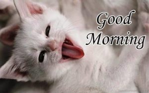 Cute Good Morning Pictures for Her