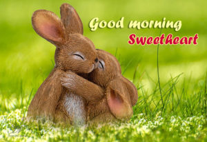 Cute Hd Good Morning Sweetheart Images Photos Pics For Facebook Download