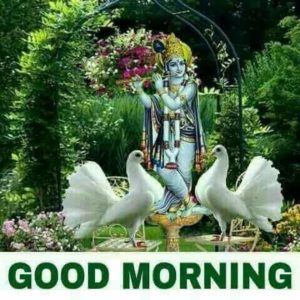 Download God Krishna Good Morning Images free