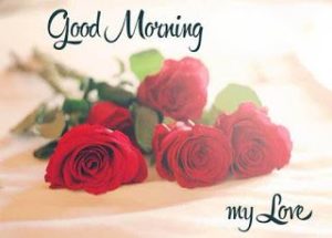 Download HD Romantic Red Rose Good Morning Images