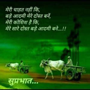 Good Morning HD Images Suprabhat Quotes in Hindi