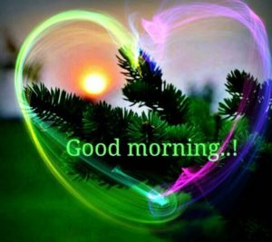 Good Morning Heart HD Images Photos Piture Wallpaper Free Download