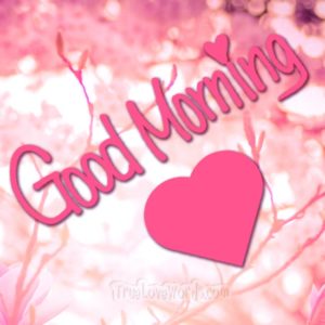 Good Morning Heart HD Images Wallpaper Pictures Photo