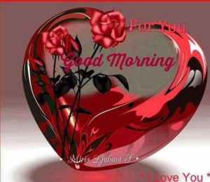 Good Morning Heart Pictures, Photos, and Images for Facebook