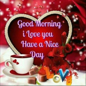 Good Morning I Love You Have a Nice Day Image Photo Pictures HD Download