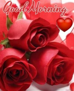 Good Morning Image With Red Roses
