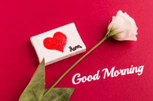 Good Morning Images With Heart for Whatsapp Download