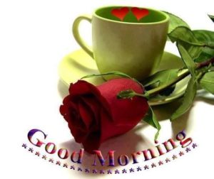 Good Morning Images with Beautiful Red Roses