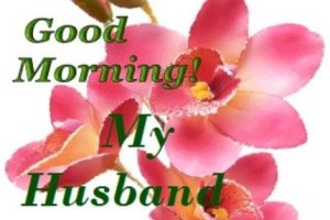 Good Morning My Dear Husband Images