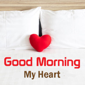 Good Morning My Heart HD Wallpaper & Pictures