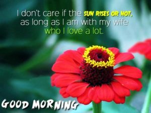 Good Morning My Wife HD Images
