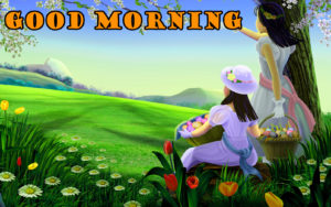 Good Morning Nature Images Photos Flowers Pictures