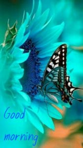 Good Morning Quotes with Butterfly HD Images