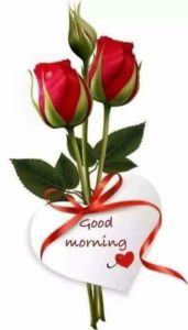 Good Morning Rose Pictures