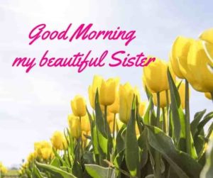 Good Morning Sister HD Pic
