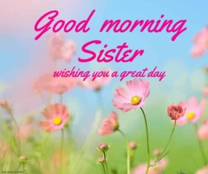 Good Morning Sister Wishing You a Beautiful Day