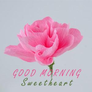 Good Morning Sweetheart HD Flowers For Girlfriend