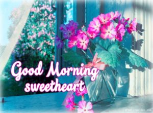 Good Morning Sweetheart Have a Nice Day HD Wallpaper