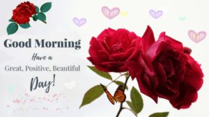Good Morning Wishes With Rose Pictures
