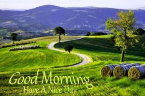 Have a Nice Day Nature Good Morning Images HD