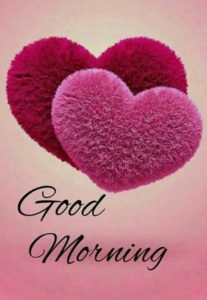 Heart HD Images Good Morning Free Download