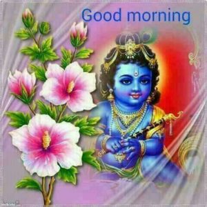 Krishna Radhe Radhe Good Morning Ki Photo