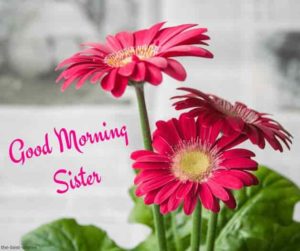 Lovely Good Morning Wishes and Greetings For Sister