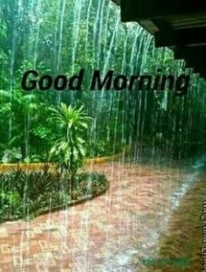 Raining Natural Good Morning Images & Photos
