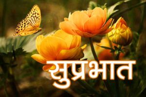 Shubh Prabhat Image Download with Yellow Flowers