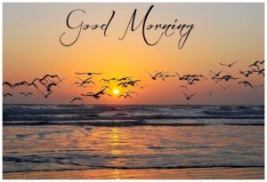 Sunrise Good Morning Images Photo Pictures Download