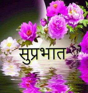 Suprabhat Flowers Image Download