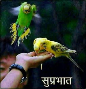 Suprabhat Good Morning Images for Whatsapp in Hindi